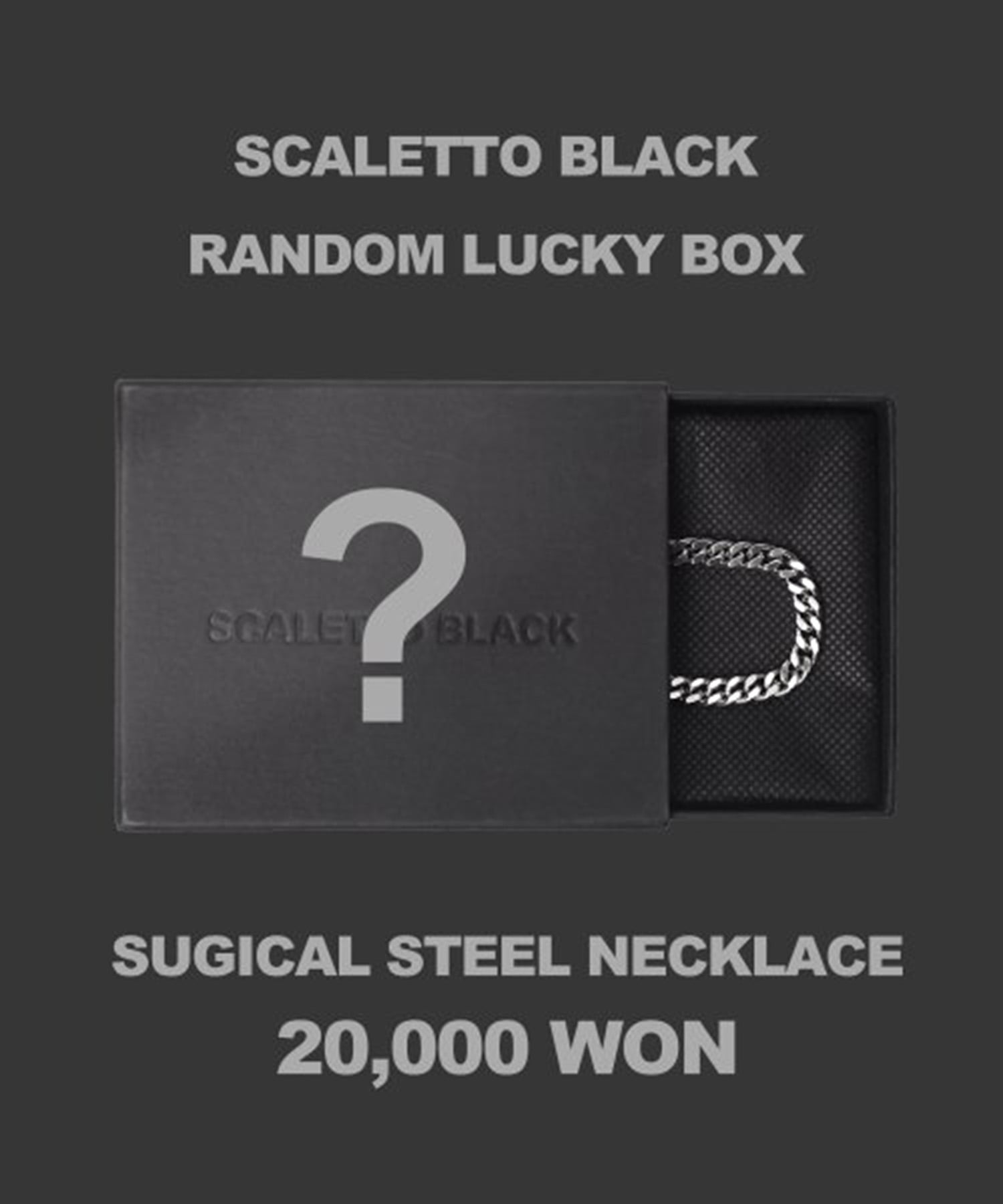 [랜덤럭키박스] SCB701 Surgical steel necklace